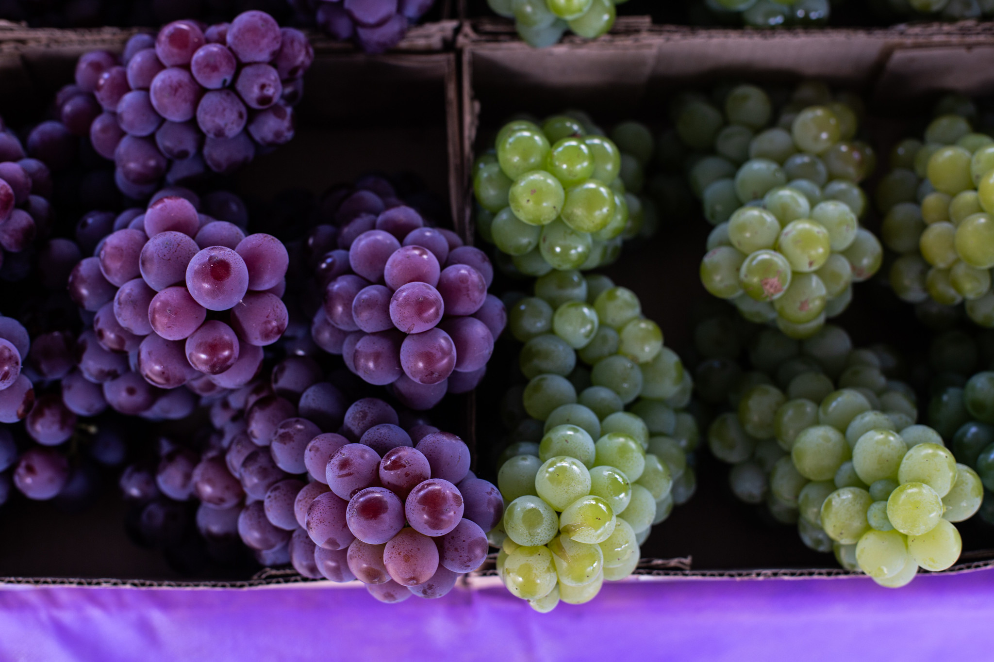 imagem: 13ª Feira Municipal da Uva reúne 56 produtores