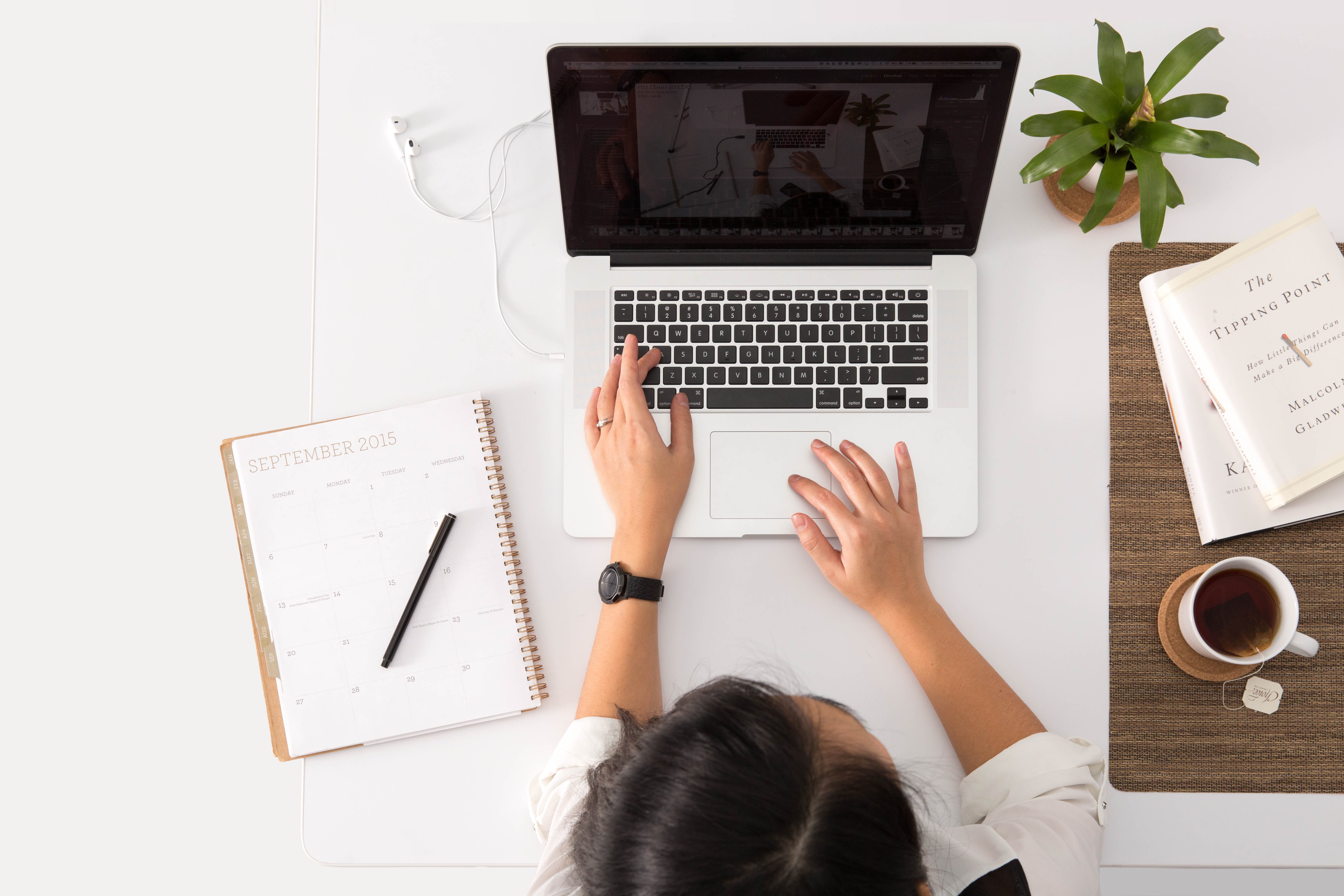 imagem: MTur oferta cursos de especialização em atrativos naturais e culturais