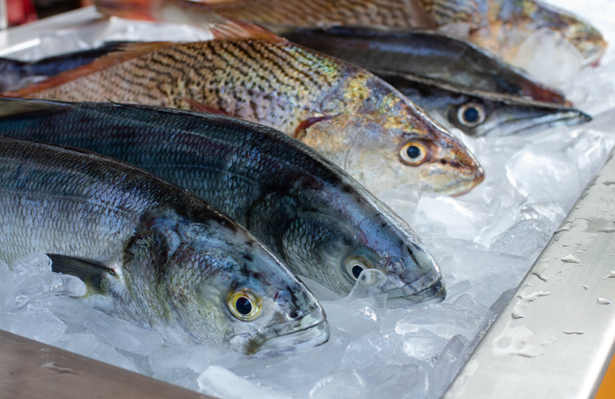 imagem: 9ª Feira Municipal do Peixe está confirmada para a Semana Santa
