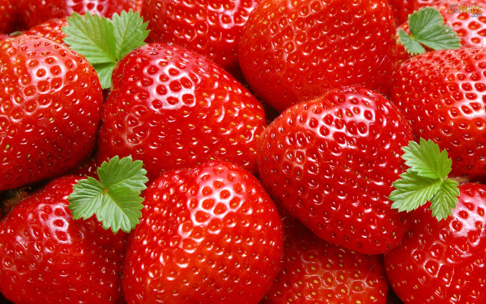 imagem: Feira Municipal do Morango é prorrogada até o dia 16