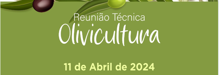 imagem: Olivicultura é tema de reunião técnica na Cascata