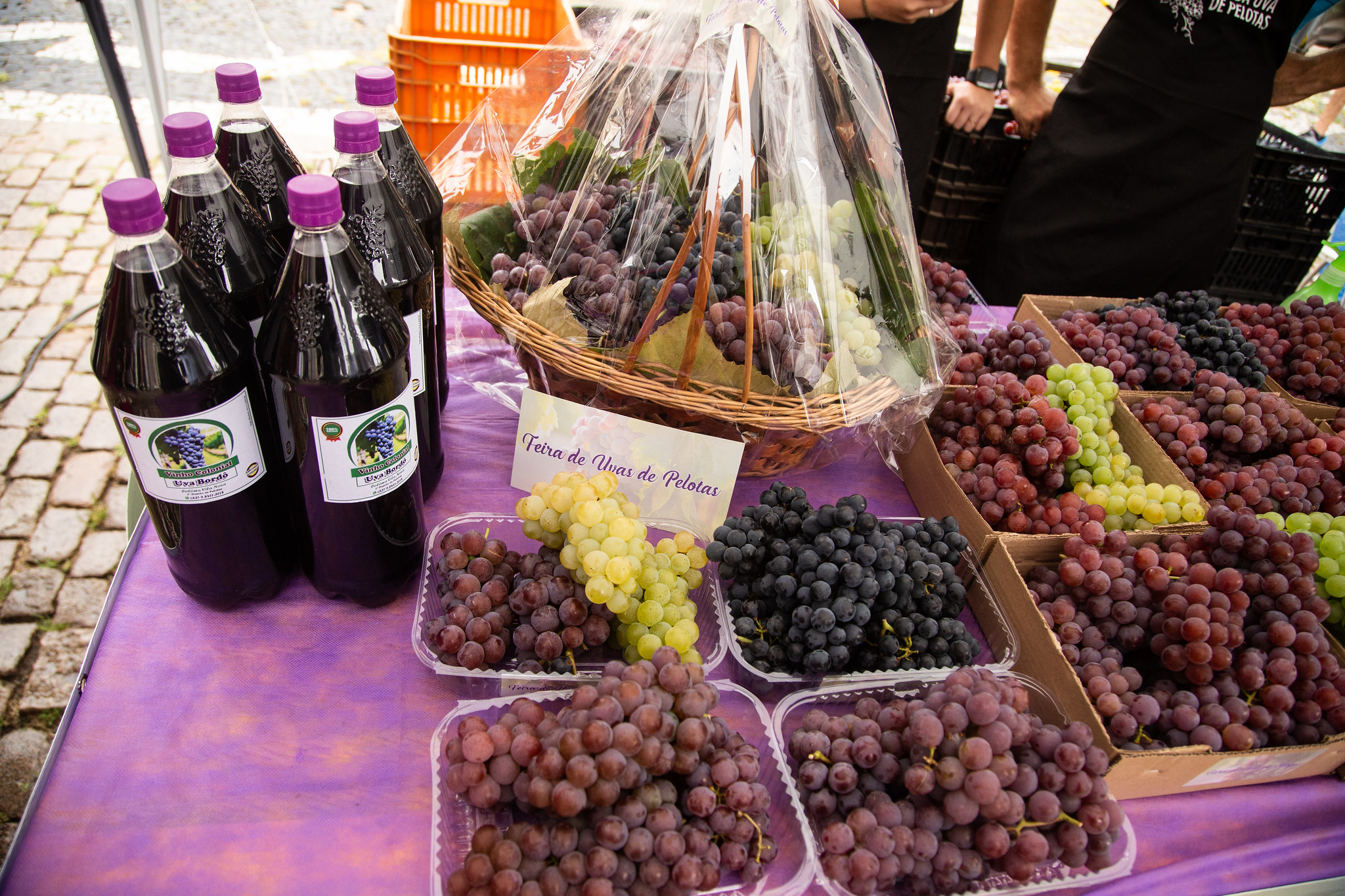 imagem: 12ª Feira da Uva comercializa mais de 5,4 mil quilos da fruta