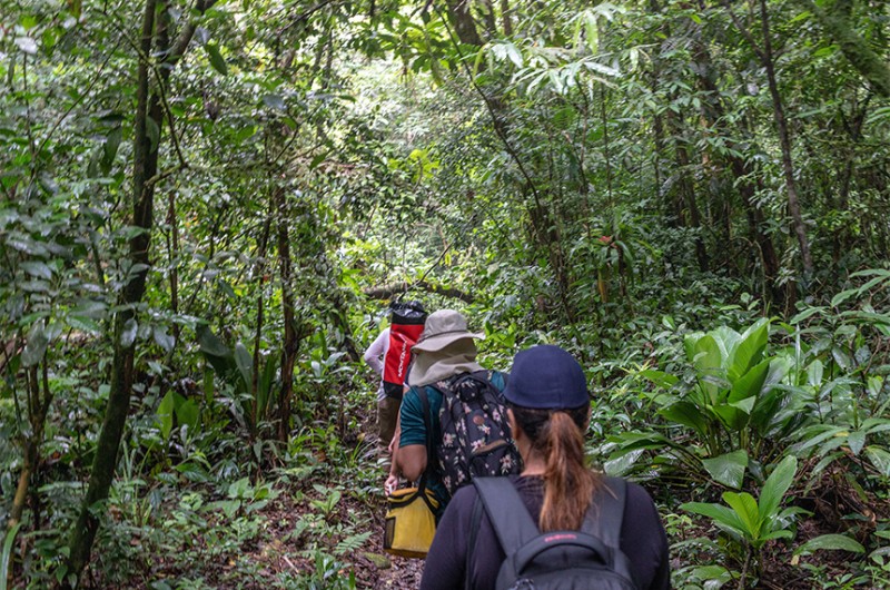 imagem: CDR debate ecoturismo e desenvolvimento sustentável