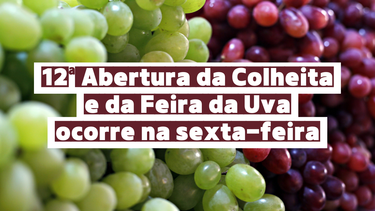 imagem: 12ª Abertura da Colheita e da Feira da Uva ocorre na sexta-feira