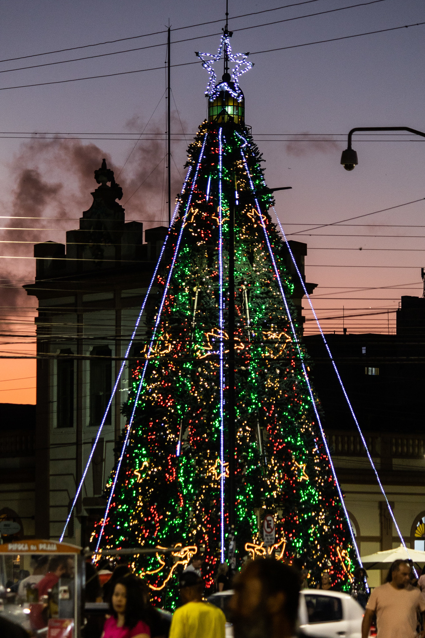 imagem: Município divulga programação do Pelotas Doce Natal