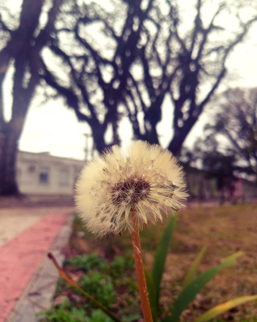 imagem: Fotografia da Semana: encanto no dia-a-dia