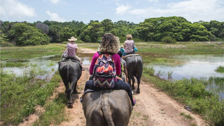 imagem: MTur consolida normas para atuação de guias de turismo