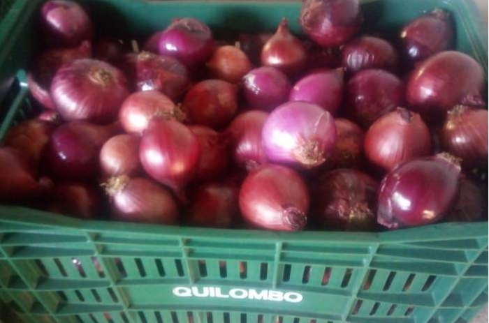 imagem: Comunidade Quilombola inaugura feira agroecológica no Centro Histórico